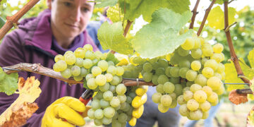 Не вкручивайте нам баки!