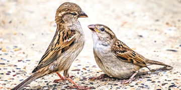 Приглашаем на пакетик чая!