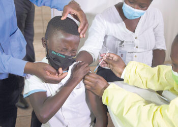 Вместо красок – бактерии