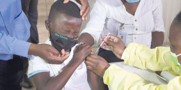 Вместо красок – бактерии