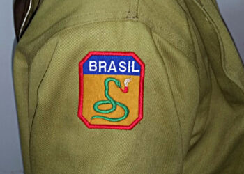 Умеет ли  змея курить?