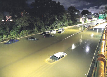 Король и немцы