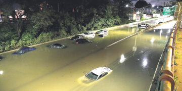 Король и немцы