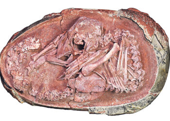 Вернувший миру Олимпию