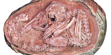 Вернувший миру Олимпию