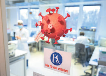 Король и немцы