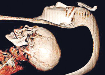 Вернувший миру Олимпию