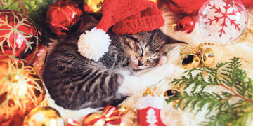 Вернувший миру Олимпию