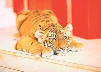 Всё будет хорошо! Часть 2