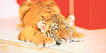 Всё будет хорошо! Часть 2