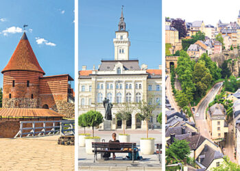 Король и немцы