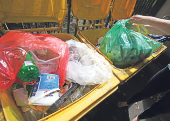 Сытое брюхо к лептину глухо