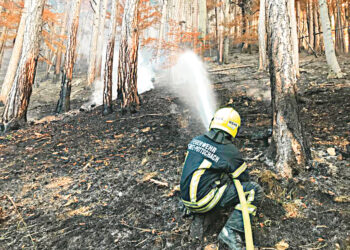 Сытое брюхо к лептину глухо