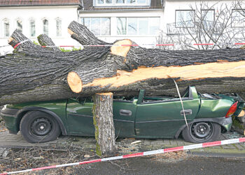 Сытое брюхо к лептину глухо
