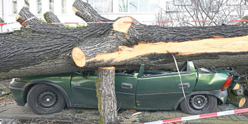 Сытое брюхо к лептину глухо