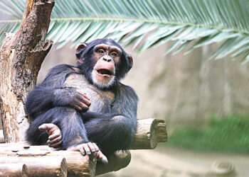 Чтобы тело и душа были молоды