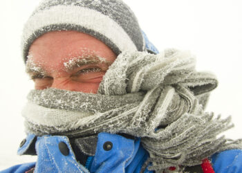 Предшественник вальса
