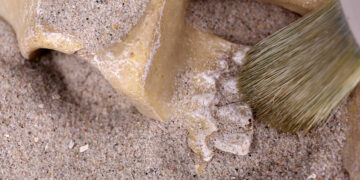 Чтобы тело и душа были молоды