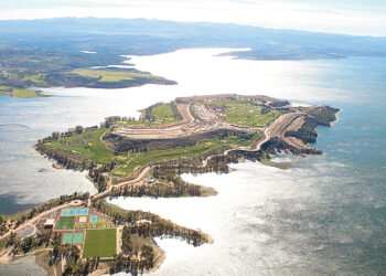 Сытое брюхо к лептину глухо