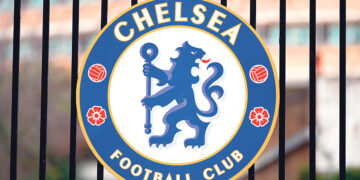 Кошки-долгожители