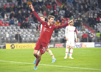 Кошки-долгожители