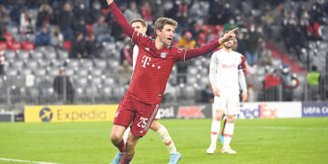 Кошки-долгожители