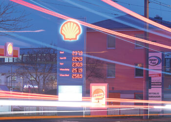 Кошки-долгожители