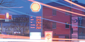 Кошки-долгожители