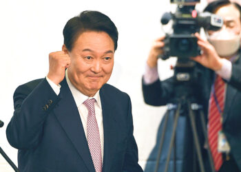 Кошки-долгожители