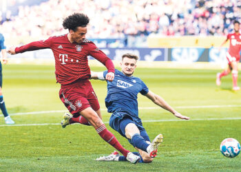 Кошки-долгожители