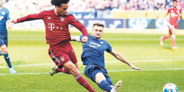 Кошки-долгожители