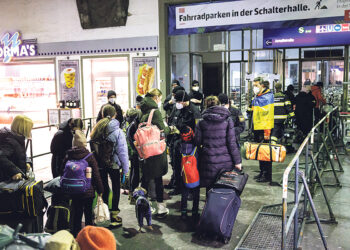 Кошки-долгожители