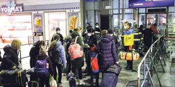 Кошки-долгожители