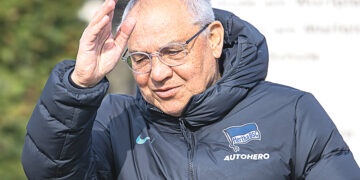 Кошки-долгожители