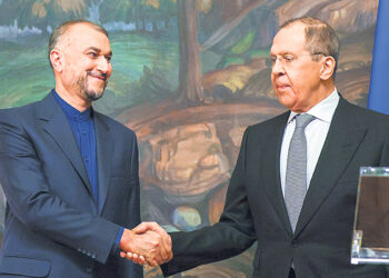 Кошки-долгожители