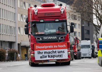 Кошки-долгожители