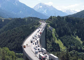 Пока единственный