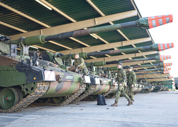 Пока единственный