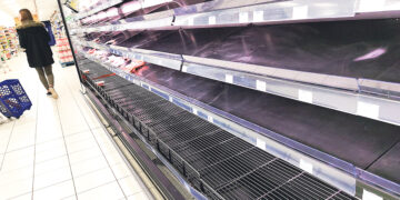 Кошки-долгожители