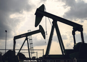 Пока единственный