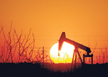 Кошки-долгожители