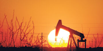 Кошки-долгожители