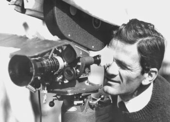 Пока единственный