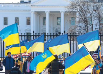 Пока единственный