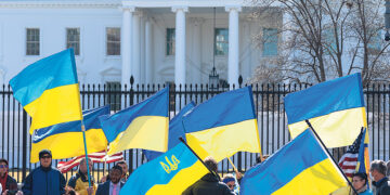 Пока единственный