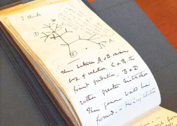 «Мост» в будущее