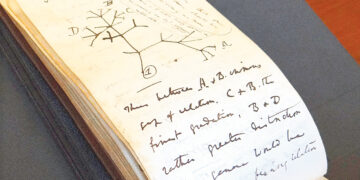 «Мост» в будущее