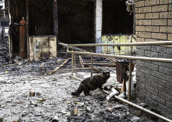 Мендельсон или Вагнер?