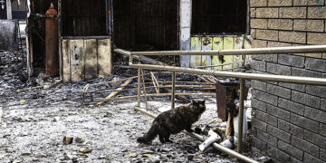 Мендельсон или Вагнер?