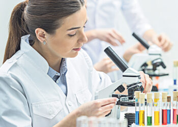 «Мост» в будущее